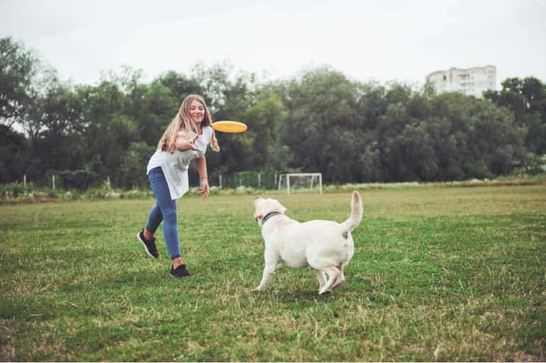 Köpeğiniz İle Beraber Yapabileceğiniz Eğlenceli Aktiviteler