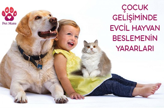 Çocuk Gelişiminde Evcil Hayvan Beslemenin Yararları